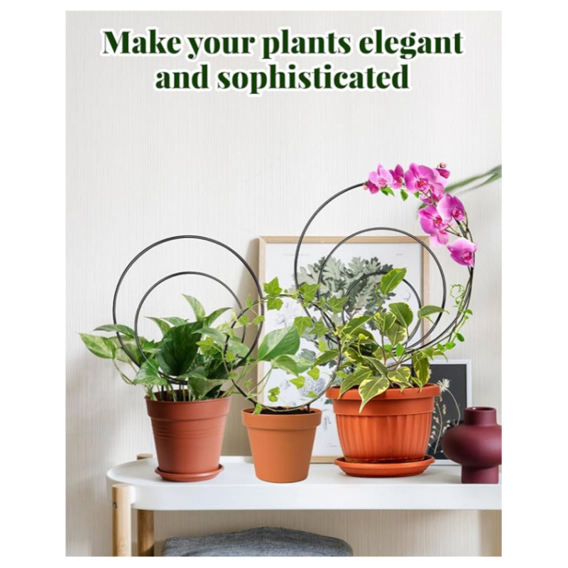 Cross-Border Amazon Temu Metal Three-Ring Plant Pot Climbing Frame Creative Climbing Plant Fixed Flower Stand Wholesale