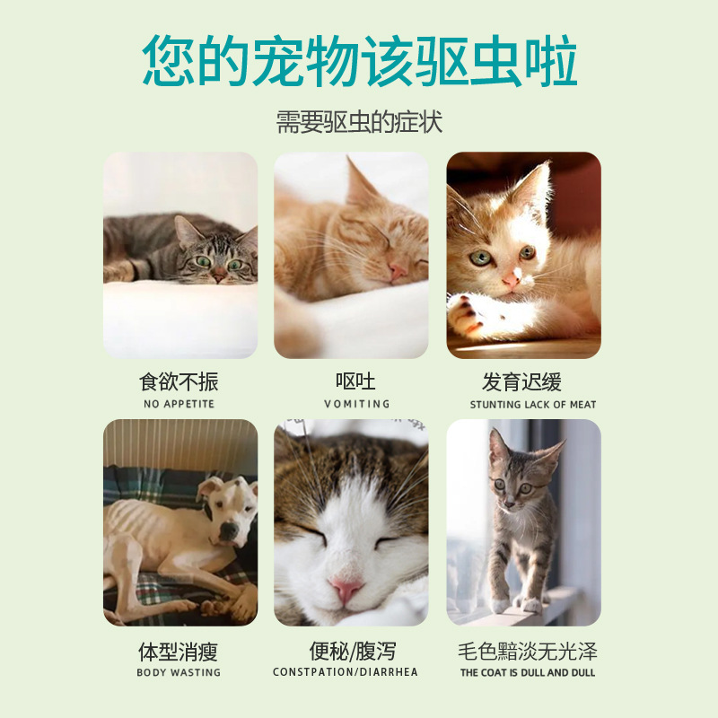 Pet Medicine Fenbendazole Tablets, Anthelmintic Drug for Dogs and Cats, Cat Anthelmintic Drug, Dog Anthelmintic Drug