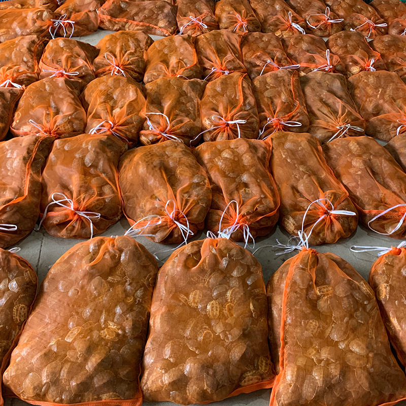 3- 26cm Brazilian Turtle Pet Ornamental Turtle Large and Small Turtles Brazilian Batch Young Turtles Special Price Grass Turtle Hatchlings