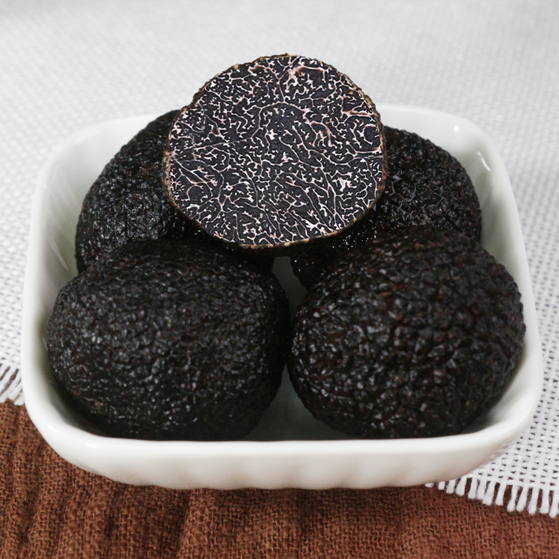 Fresh Black Truffles, Mature Wild Authentic Yunnan Specialty, Premium Fresh White Truffles, Mushrooms, Boletes, and Porcini Mushrooms
