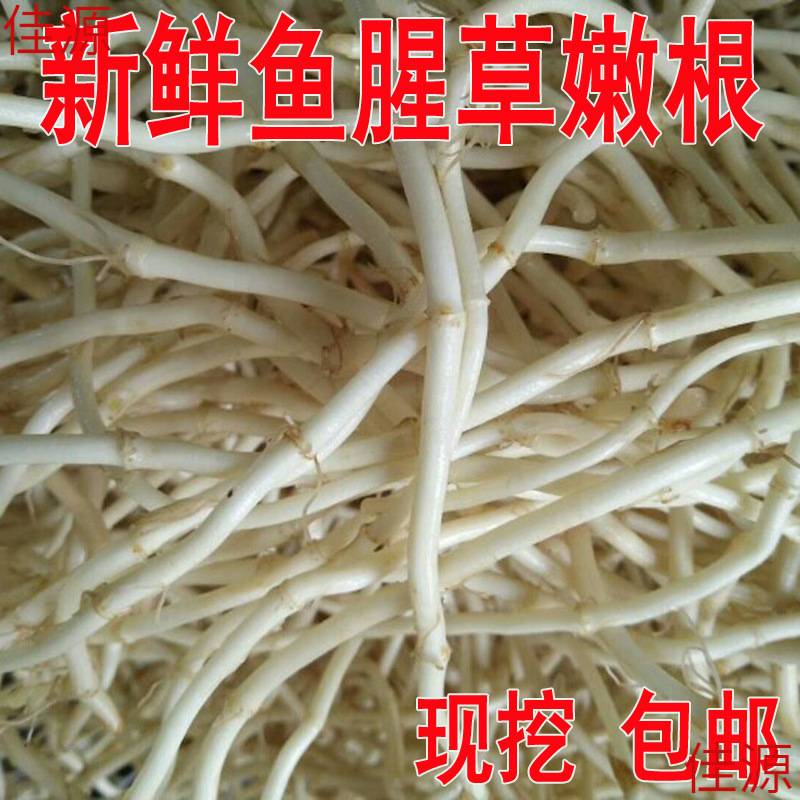 Houttuynia Cordata Freshly Dug Vegetables, Pleurotus Eryngii, Cold Stir-Fried Pleurotus Eryngii, Houttuynia Cordata Roots, Free Shipping
