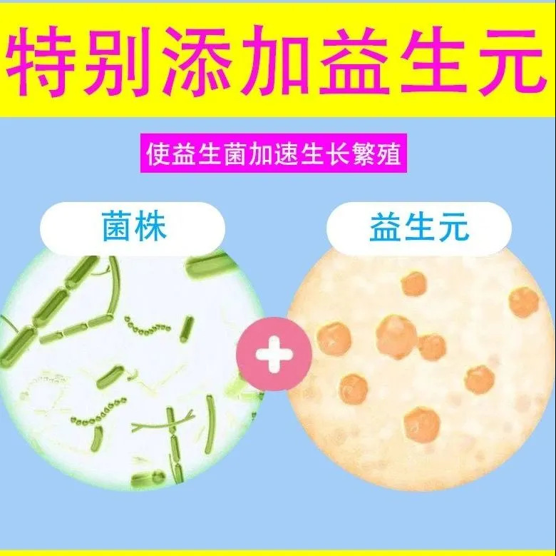 Probiotics Nanjing Tongrentang Probiotic Freeze-Dried Powder Prebiotic Intestinal Probiotics Wholesale Probiotics Customization