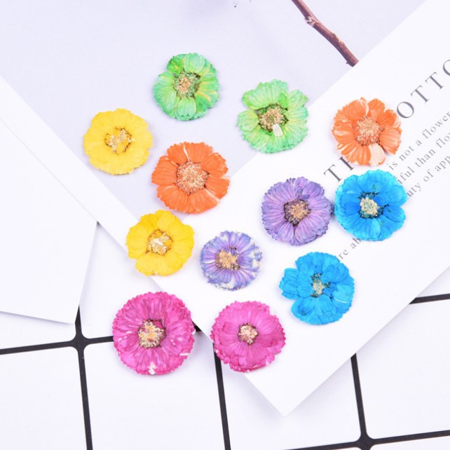 Маргаритка Цветной Гибискус Маленький Хризантема Клей для Сухоцвета Оболочка Мобильного Телефона DIY Вытесненные Цветочные Аксессуары Перегородка