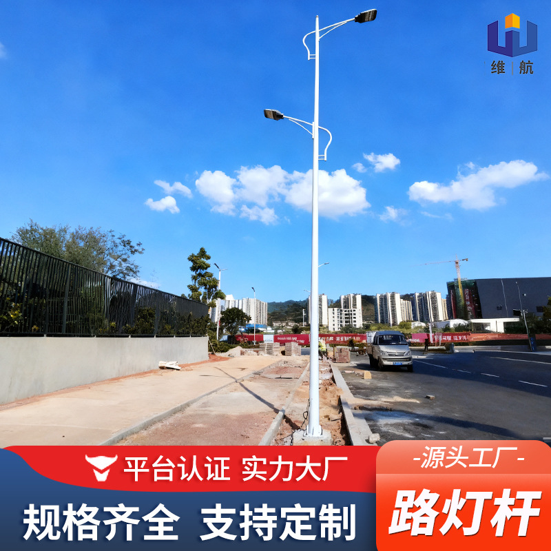Light Pole Manufacturer Outdoor Road Lighting Solar Light Pole Basketball Court High Pole Light Hot Galvanized Single and Double Arm Street Light Pole