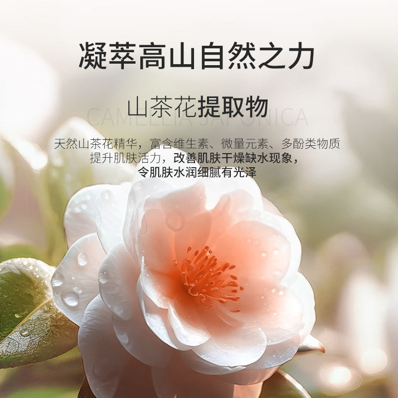 Korean Version of Camellia Pore Conditioning Soft Mask Powder, Moisturizing, Oil-Controlling, Anti-Wrinkle, Firming, Smear-Type Mask Powder, Beauty Salon Pack