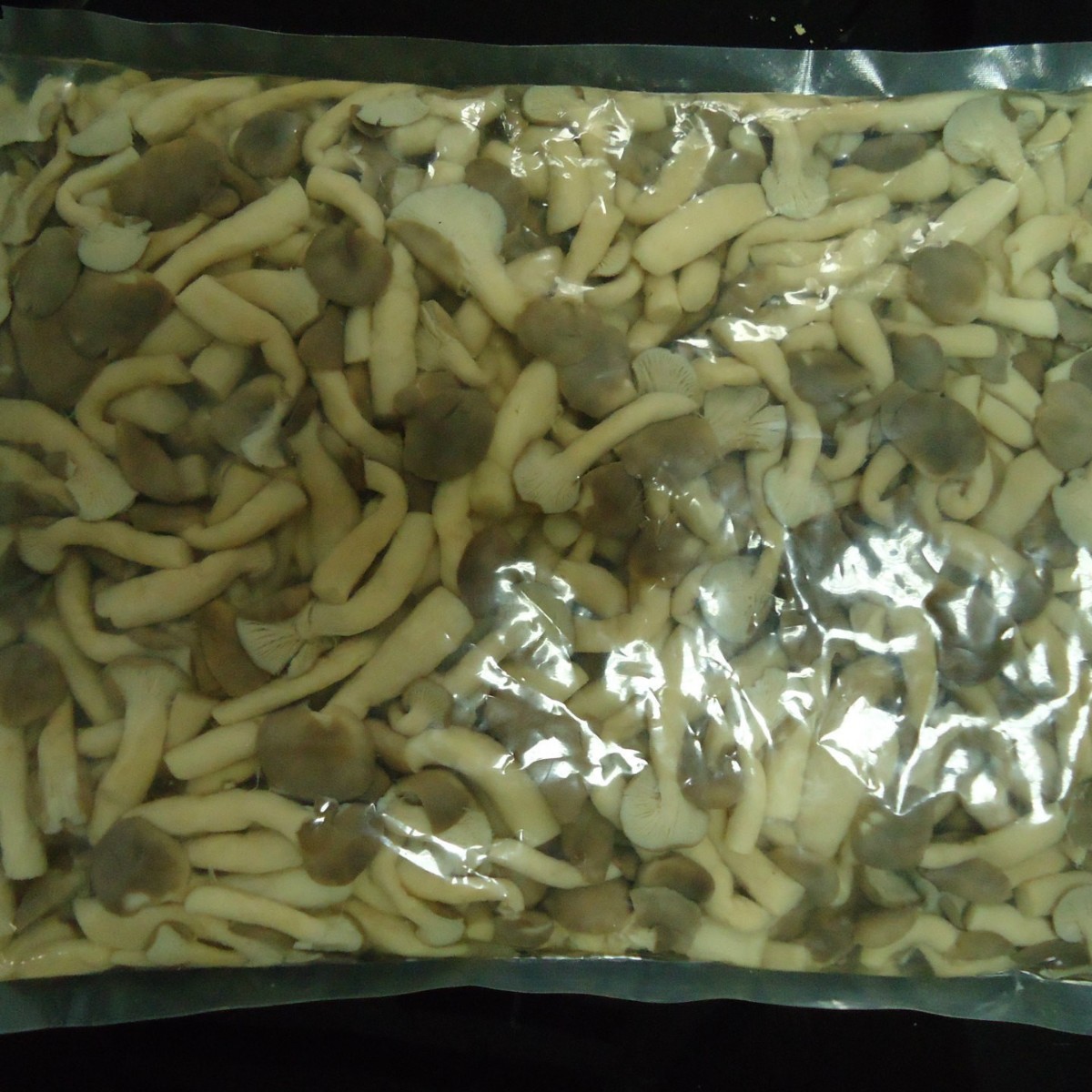 Ancient Mushroom Boiled mushroom 1kg mixed mushroom pot clear water Mushroom Boiled mushroom canned assorted mushroom can