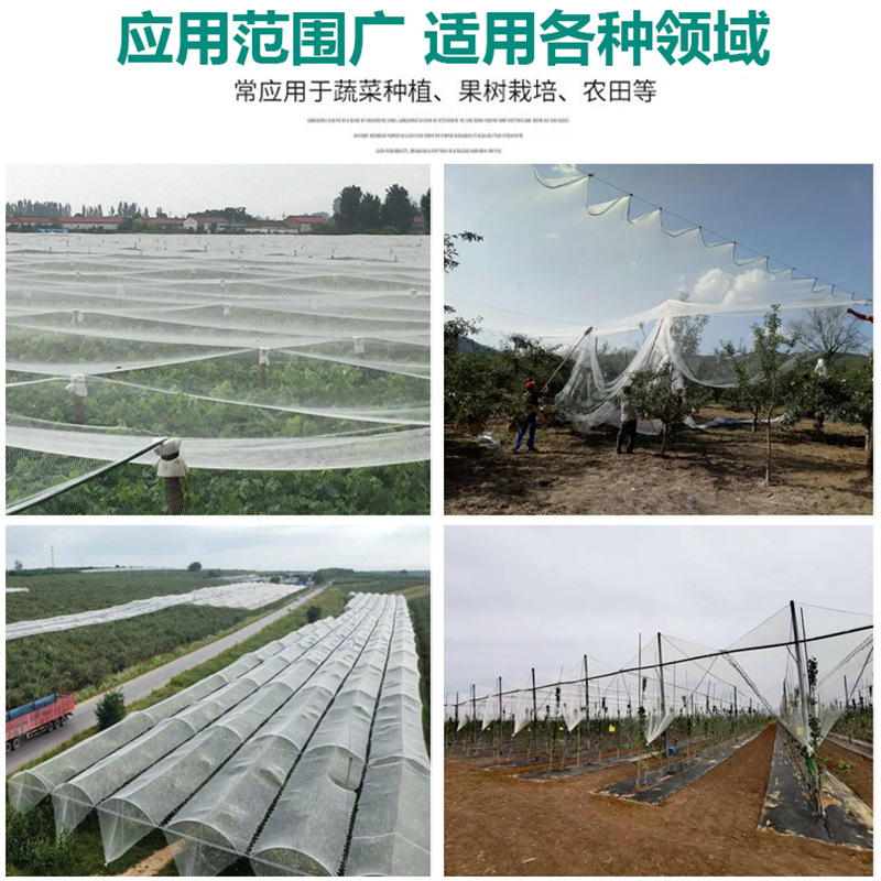 Anti-Hail Net, Orchard Protection Net, Fruit Tree Anti-Bird Net, Protective Net, Durable, Direct from Manufacturer, Outdoor Use