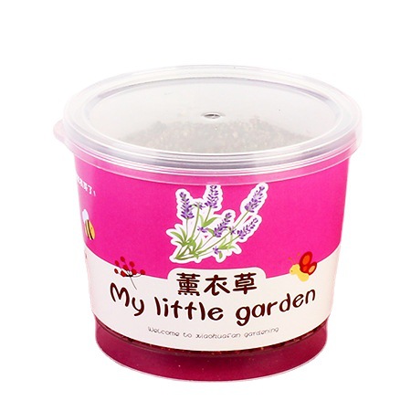 Bean Diced Potted Cat Grass Green Plant Blind Seed Kindergarten Kidsren Sunflower Strawberry Hand-Planted Flower Seed Gift