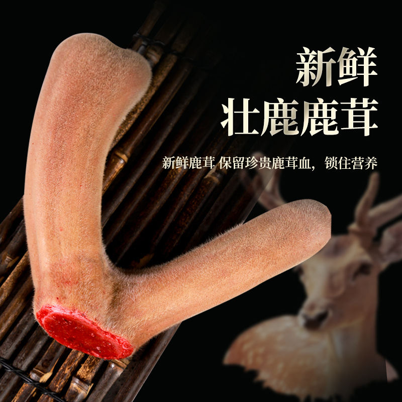 Fresh Deer Antler, Deer Antler with Blood, Soaked in Wine and Soup, Can Be Sliced with Knife and Cut, Whole Fresh Deer Antler