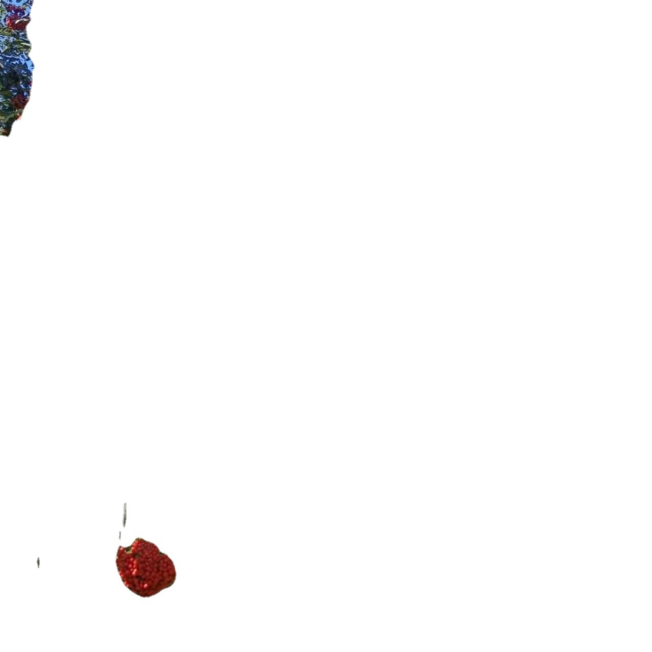 Rowan European Rowan Rowan Tree Rowan Sapling Red Fruit Rowan Cold-Resistant Deciduous Tree