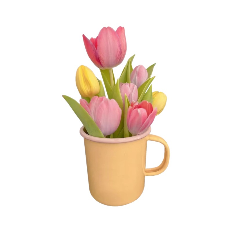 Tulip Bulb Seeds Soil Culture Hydroponic Package Winter Indoor Cold-Resistant Water Culture Potted Bulb Flower Hyacinth