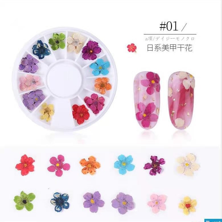 Цветок дерева Пятизвездочный цветок Японский маникюр Сухие цветы DIY стикер макияжа лица Пятилепестковый цветок Тисненный цветок Прямые продажи с фабрики