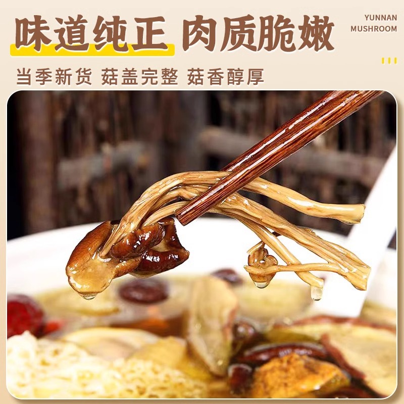 2025 Yunnan Farmhouse Dried Tea Tree Mushrooms Selected Unopened Umbrella Cut Root Fresh Tea Tree Mushrooms Shiitake Mushrooms 250g