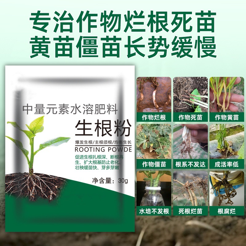 25g Rooting Powder Universal Seedling Strengthening Agent Succulent Pothos Flower Cutting Powder Fast and Powerful Rooting Powder