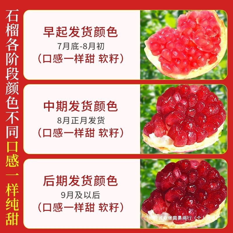 Tunisian Soft Seed Pomegranate Fresh Fruit Gift Box 10 Seasonal Pounds Freshly Picked Whole Box Sichuan Huali Seedless Pomegranate