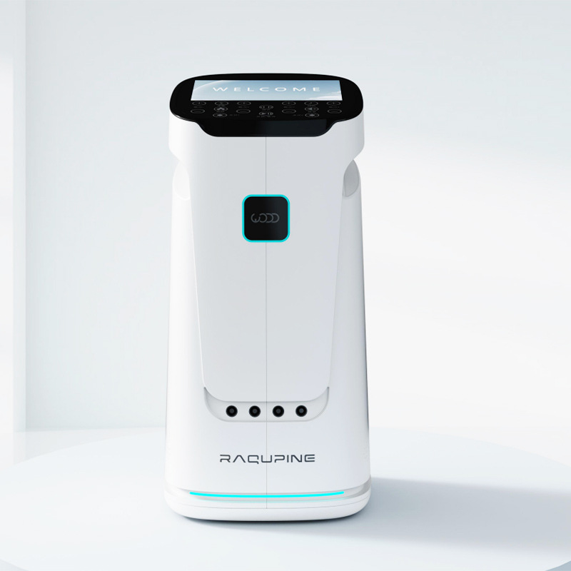 Develop Customized Fluctuation Meter, Physical Therapy Instrument, Health Center, Beauty Salon, Health Care Instrument, Meridian Magnetic Heat Pulse Massage Electrotherapy Instrument