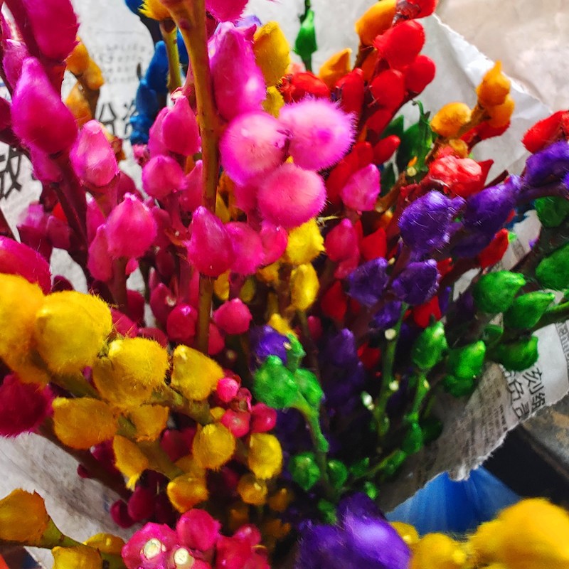 Bring in Wealth and Treasure Silver Willow Dried Flowers Real Flowers Fresh Branches Hydroponic Plants Red Silver Willow New Year's Eve Florals Blessing Bucket Living Room Interior Decoration