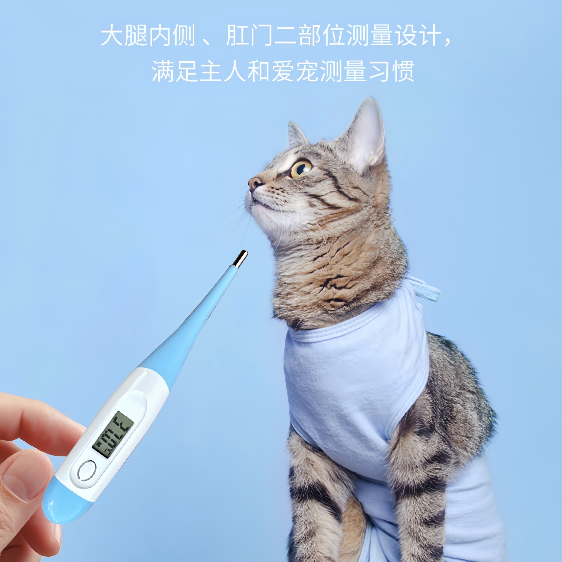 Pet Thermometer Cat and Dog Thermometer Veterinary Anal Digital Thermometer Cat and Puppy Cold Temperature Measurement