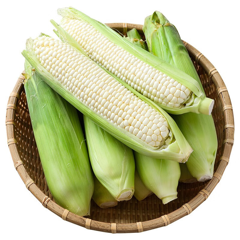 Guangxi Fresh White Waxy Corn Daifa 3/5 Jin Fresh Baogu Tender Corn on the Corb in Season Vegetable Sticky Corn
