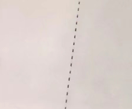 Нейтральная антифальсификационная бумага (используется для заказа)