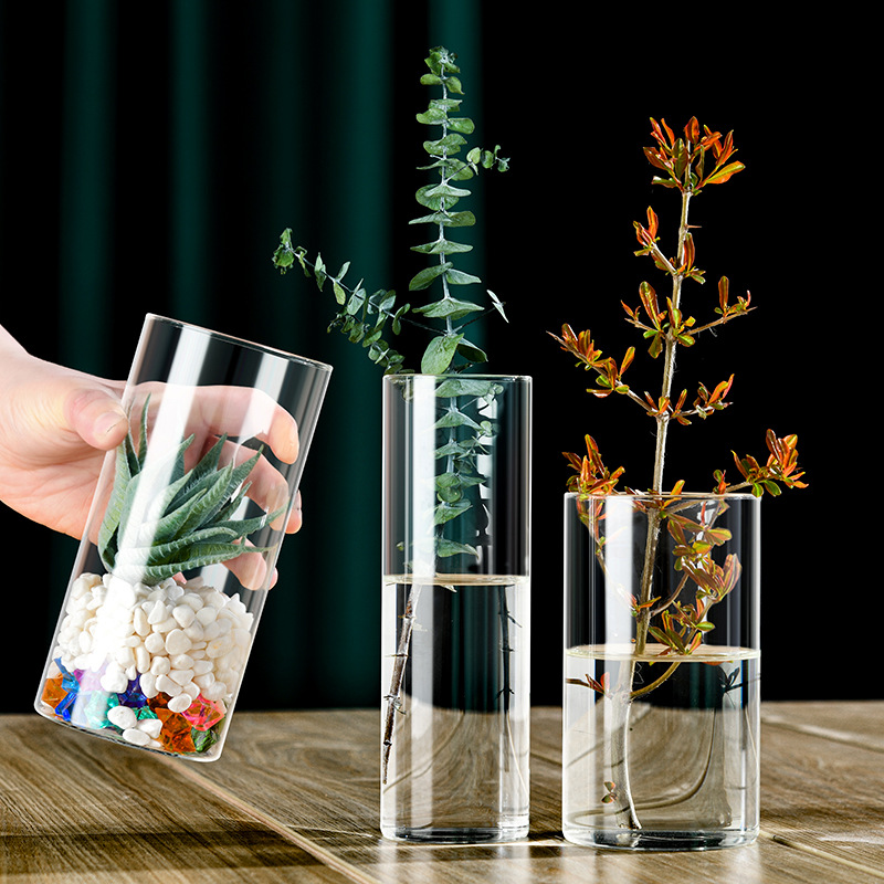 High borosilicate straight glass vase green dill small fish tank flower arranging device hydroponic landscape flowerpot vase glass ornaments