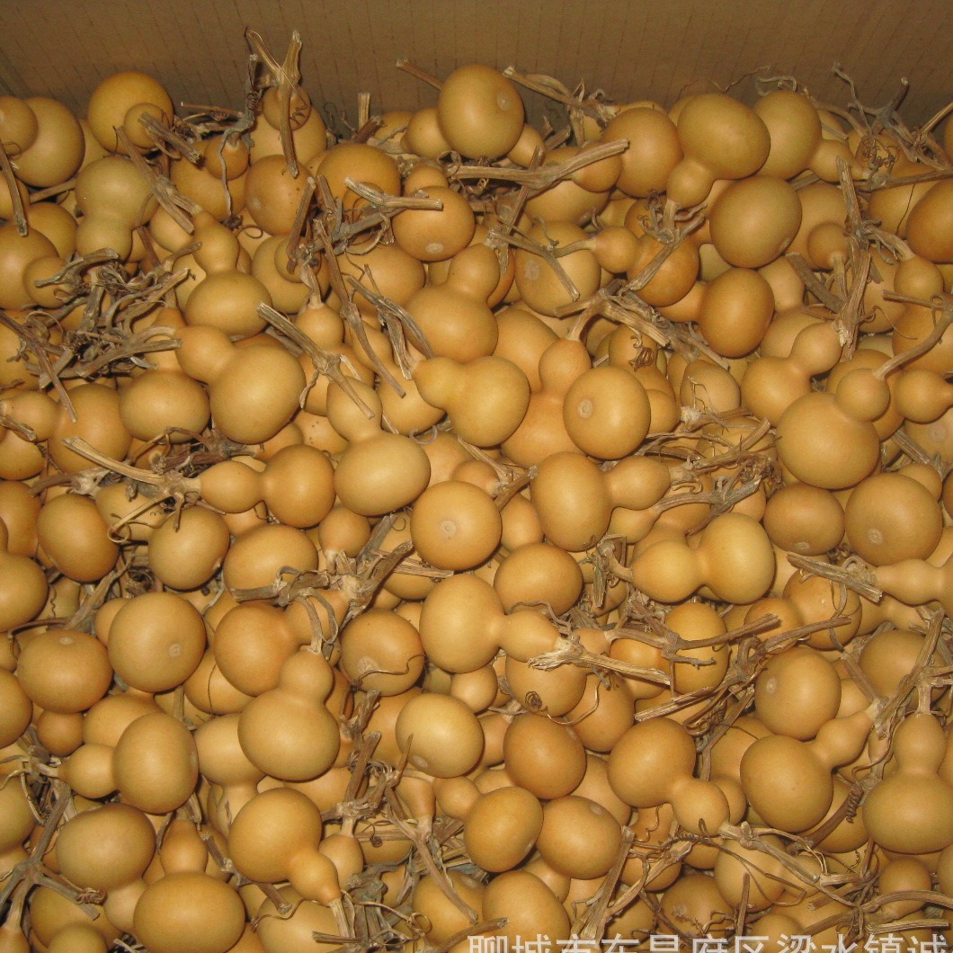 Natural gourd American small gourd hand-twisted gourd 4-7cm high text play play small gourd