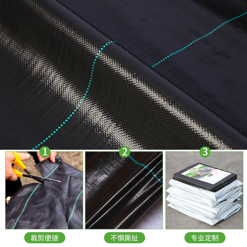 Weed-Proof Cloth Garden Greenhouse Agricultural Weed-Killing Cloth Permeable Black Pp Weed-Killing Ground Cloth Punched Sliced Gardening Ground Cloth