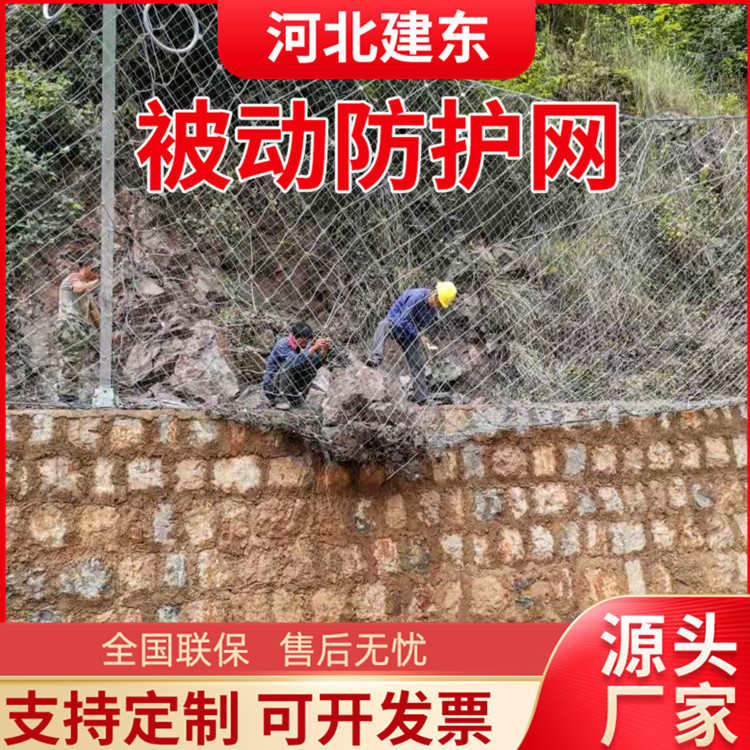 Active Protection Net, Soil-Fixing Slope Protection Steel Rope Net, Road Road Mountain Falling Stone Anti-Fall Net, Diamond-Shaped Grille Net
