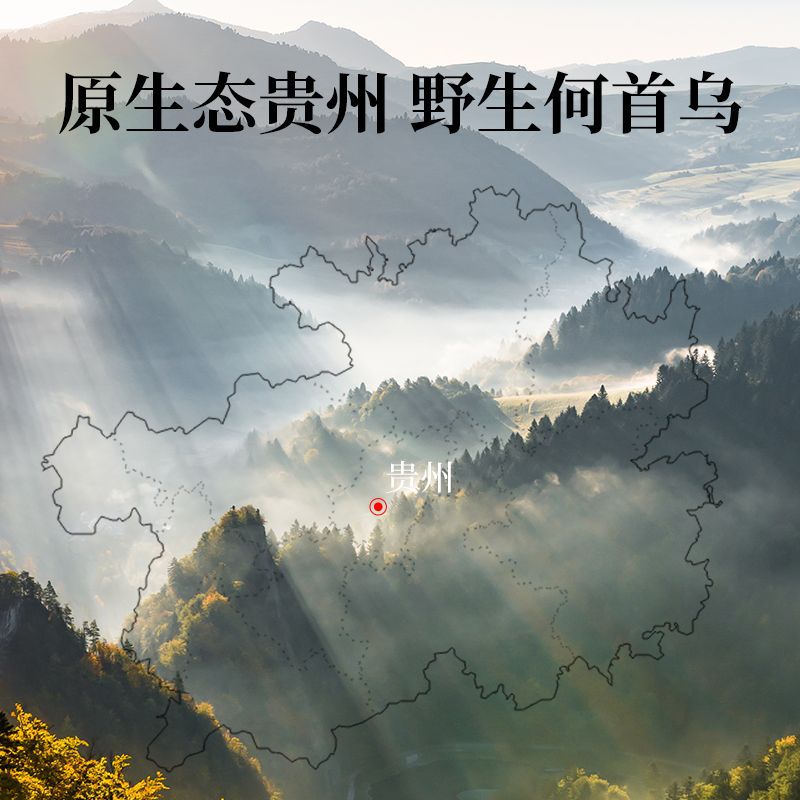 Guizhou Wild Polygonum Multiflorum Fresh Raw Polygonum Multiflorum Hair Care Soup Soup Tea Health Care Authentic Chinese Herbal Medicine 250g Free Shipping