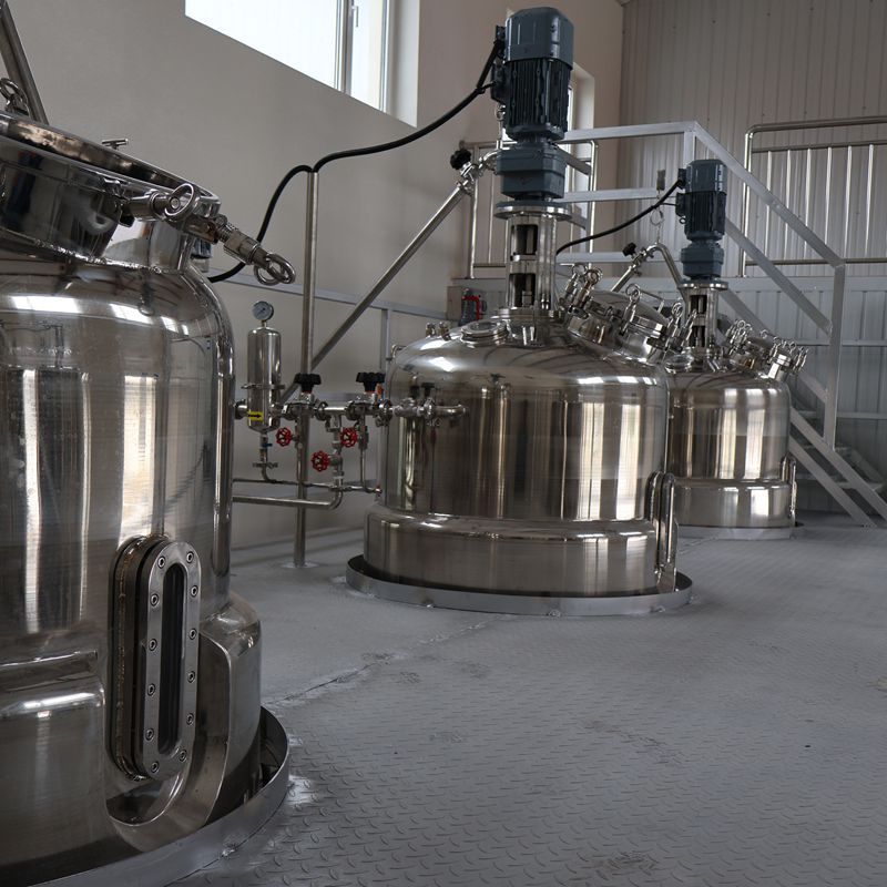 Bacillus Thuringiensis Fermentation Tank 1000L Trichoderma Fermentation Tank Ruisheng Machinery Produces Stainless Steel Fermentation Tank