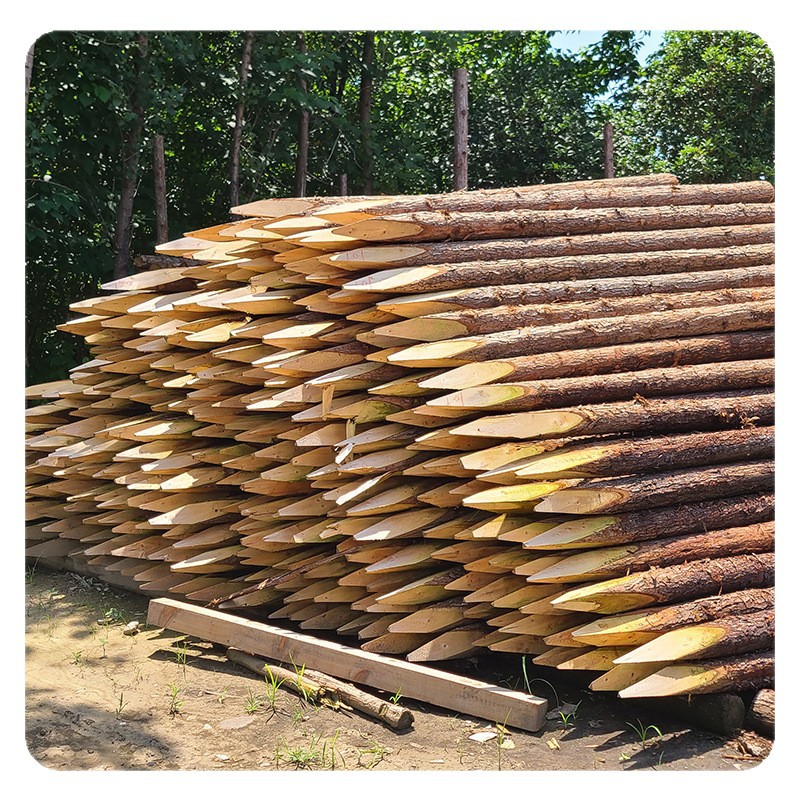 Flood Prevention Wooden Piles for Forest Farms, Direct Delivery for Riverbank Piling Projects, Solid Wood Piles, Pine Wood Piles, Natural Wood Riverbank Protection Sharpened Wooden Piles