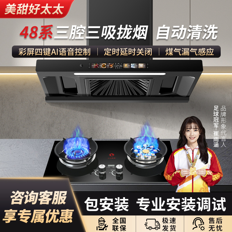Beautiful and Sweet Good Wife Range Hood Rental Home Smoke Stove Set Fierce Fire Gas Stove Home Double Stove Smoke Stove Set