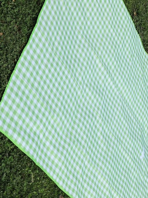 Eco-friendly Non-woven Picnic Mat