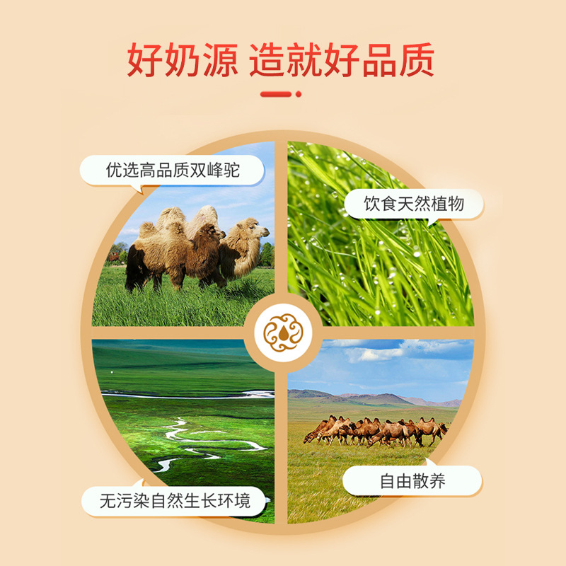 Shicheng Probiotic High Calcium Camel Milk Nutritional Powder 320g Red Canned Sports Supplement Energy Protein Powder Factory-Issued