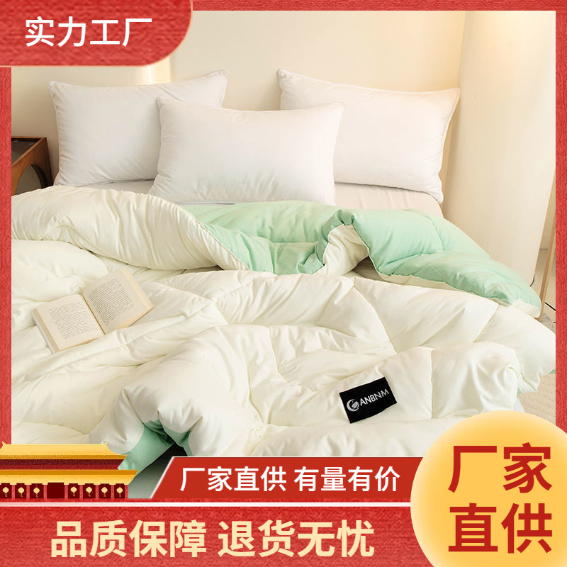 Soy Fiber Quilt Winter Quilt Quilt Core Thickeneded and Warm 2024 New Spring & Fall Quilt Single Air-Conditioned Quilt