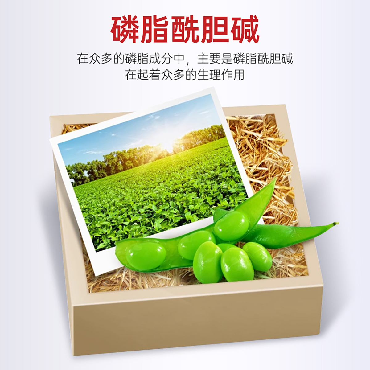 Conba Soy Lecithin Capsules Help Maintain Healthy Blood Lipid Levels. Manufacturer's Genuine Product