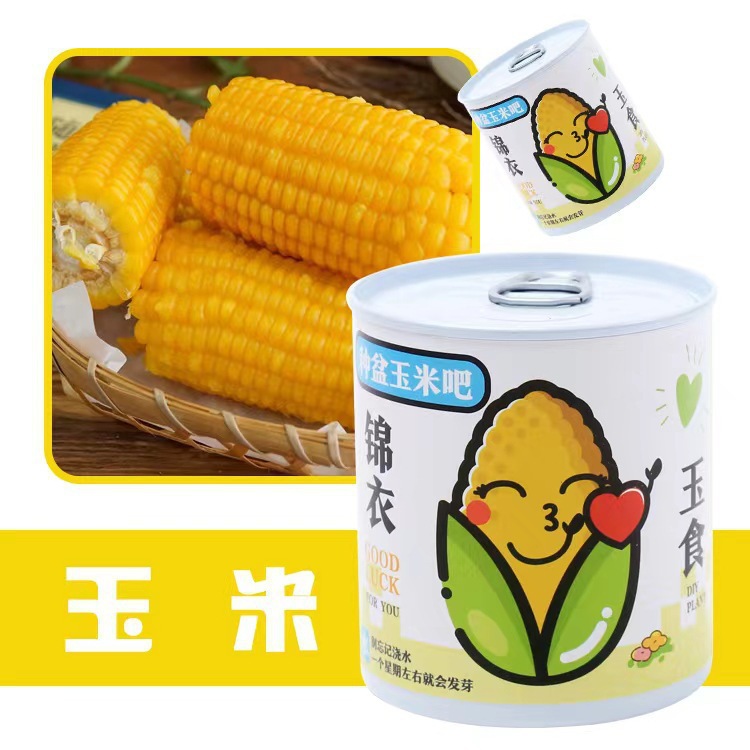 Blessing Plant Small Potted Desktop Flower Green Plant Seed Can Planting Blind Box Can Be Customized as a Kidsren's Gift