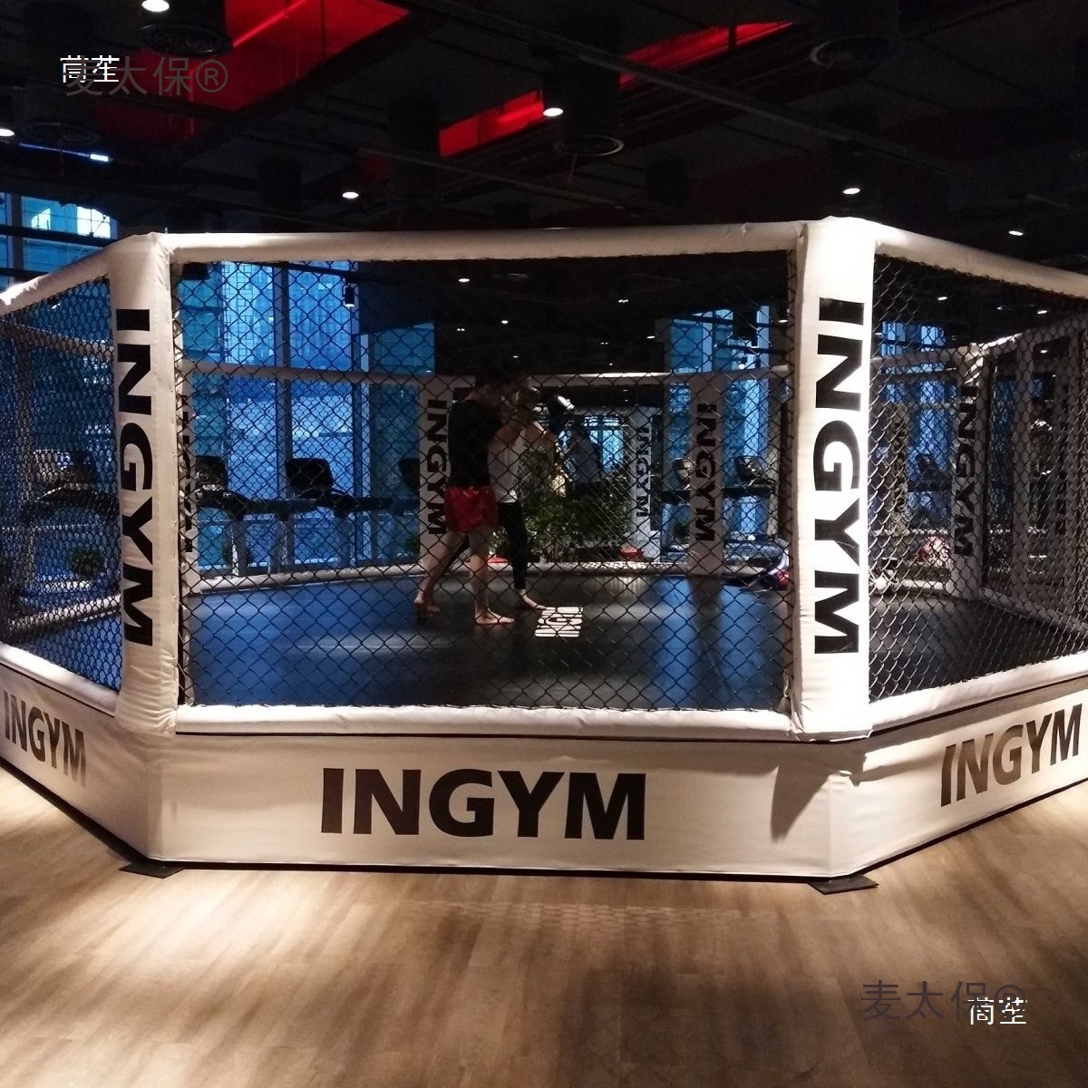Boxing Ring Mma Competition Standard Floor-Standing Ring Sanda Fighting Training Ring Four-Sided Cage Standard Metabo