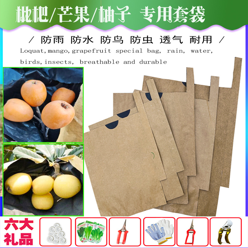 Специальный мешок для мушмулы, мешок для манго, фабричный мешок для фруктов, защищающий от насекомых, птиц, водонепроницаемый, защита от солнца