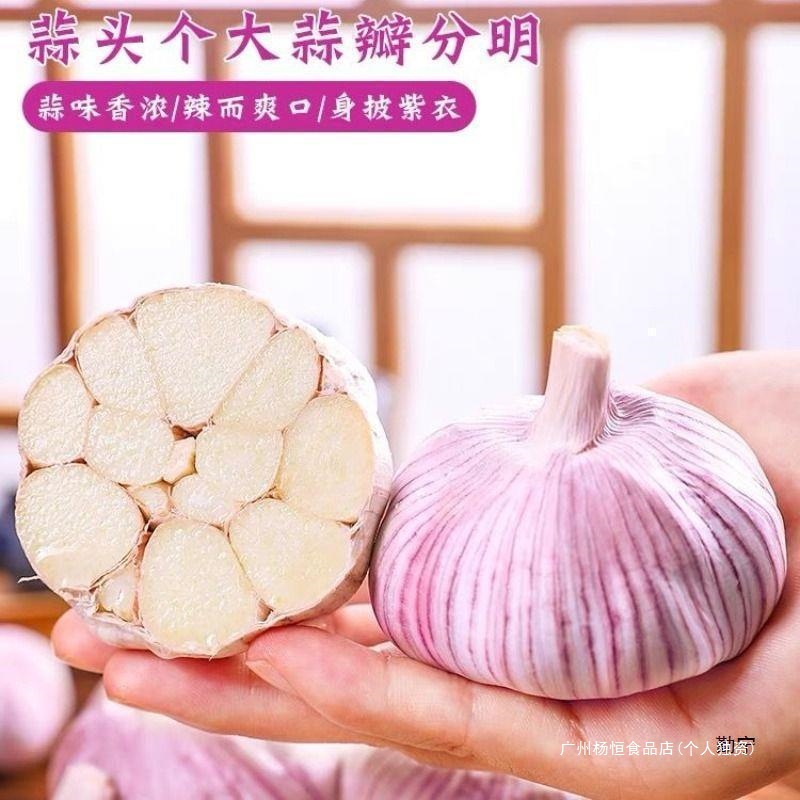 Garlic Headband Shandong Jinxiang Reduced Price Purple-Skinned Large Fresh Garlic Red-Skinned Dried Garlic Wholesale Mainland China