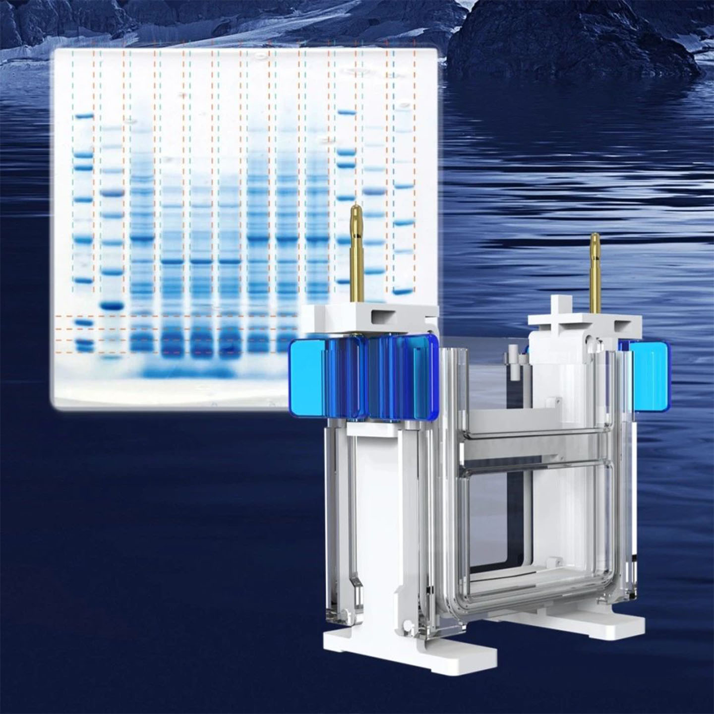 Ve-580Pro Vertical Electrophoresis Chamber (Number of Gels Running Simultaneously: 1-4)