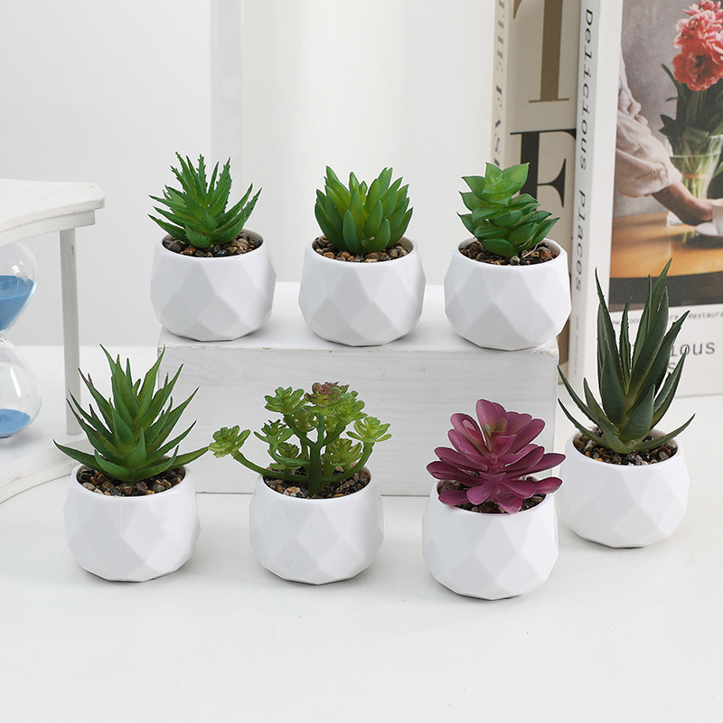 Ready Stock Simulated Succulent Potted Diamond Plastic Pot Succulent Cross-Border Hot Selling Home Landscaping Decorative Ornaments Wholesale