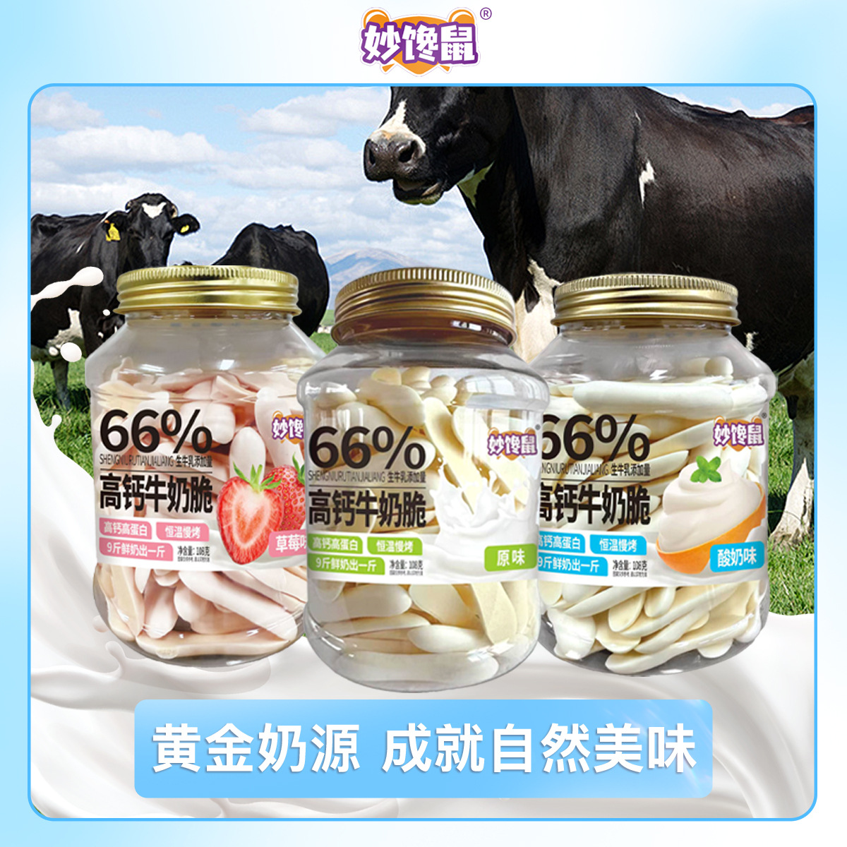 Miaochan Mouse High Calcium Milk Crisps 108G/Can (3 Cans in Hand) 66% Raw Milk Added Crispy