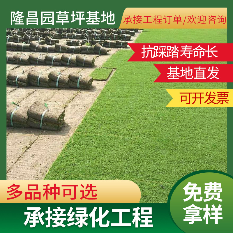 Настоящий газон с почвой, зеленый газон на все сезоны, для дома и сада, озеленение, манильский газон