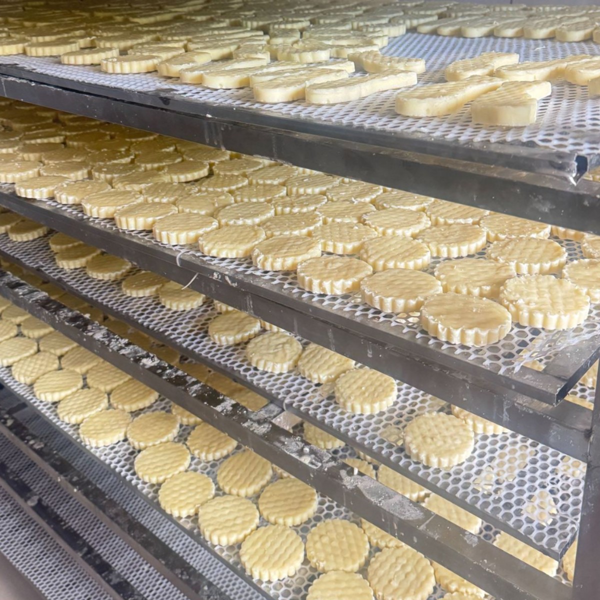 Semi-Dried Milk Tofu, Inner Mongolia Cheese, Nutritious, Natural, Additive-Free, Original Snacks, Ready-To-Eat Handmade Dairy Products