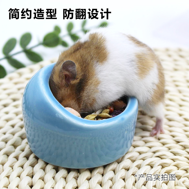 Hamster Food Basin Golden Bear Parrot Squirrel Hedgehog Anti-tip Anti-splash Bowl Feed Box Pet Supplies
