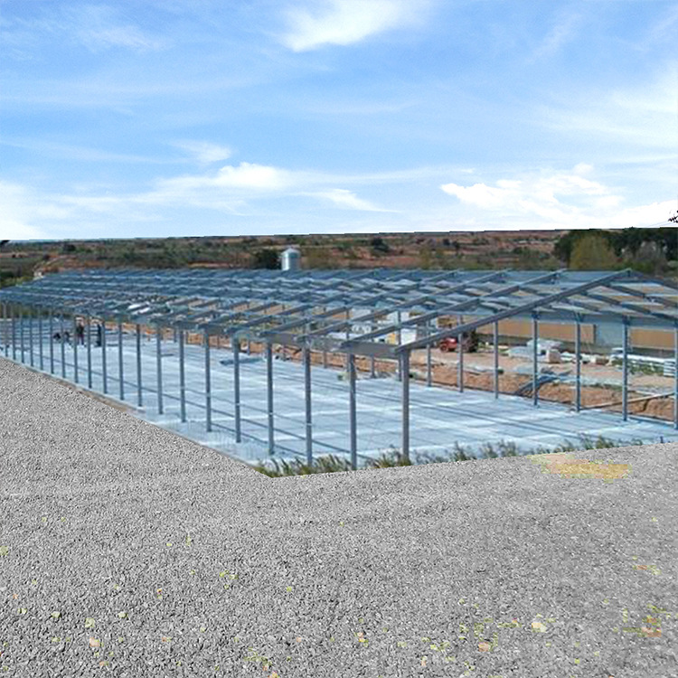 Factory Direct Supply of Steel Structure Chicken Coops and Poultry Sheds, Wholesale Prices, Specialized Chicken Coops and Poultry Sheds for Chicken Farms, Exported to Congo
