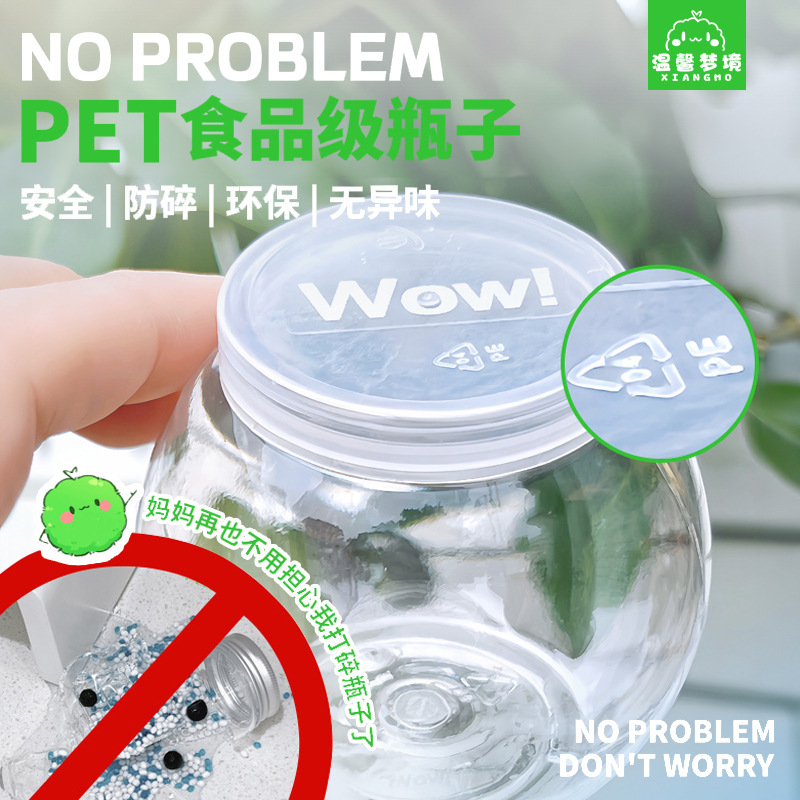 Marimo Seaweed Ball City Island Micro Landscape Ecological Bottle Office Hydroponic Plant Chlorella Nutrient Solution