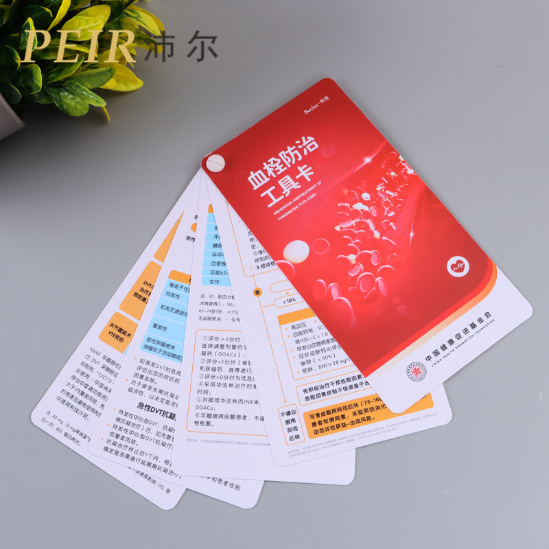 Manufacturer Wholesale Portable Card Pvc Waterproof Medical Brochure Customized Product Manual Coil Style Hardcover Album