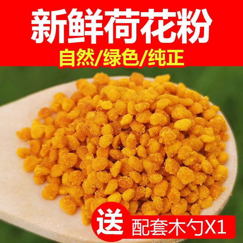 Fresh Lotus Pollen, Natural Lotus Pollen, Bee Pollen, Farm Lotus Pollen, Edible Pollen for Humans